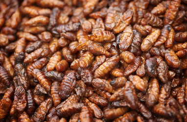 Similar image 1747760