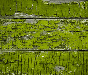 Similar image 1747926