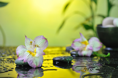 Similar image 1748235