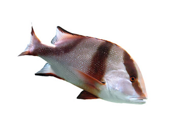 Similar image 1748403