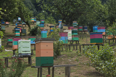 Similar image 1748653