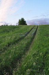 Similar image 1748785