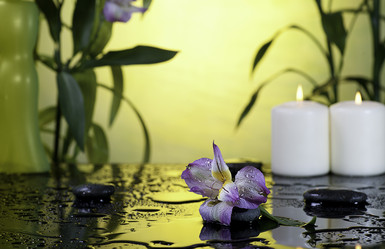 Similar image 1748826