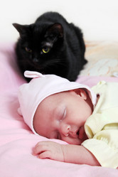 Similar image 1748948