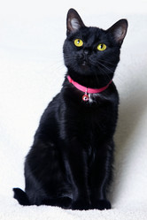 Similar image 1748954