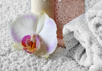 Similar image 1748956