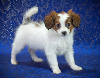 Similar image 1749214