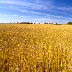 Similar image 1749247