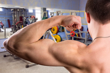 Similar image 1749249