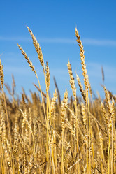 Similar image 1749255