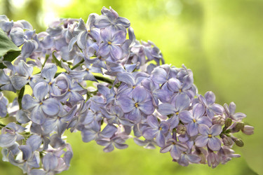 Similar image 1749263