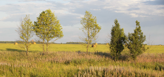 Similar image 1749265