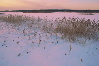 Similar image 1749266