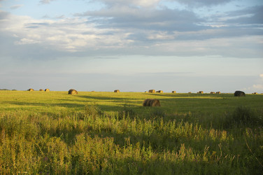 Similar image 1749268