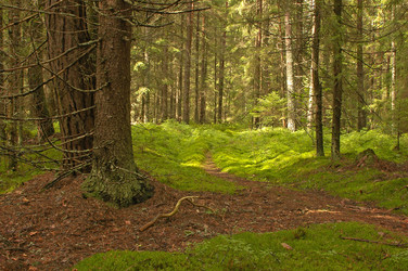 Similar image 1749269