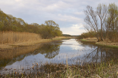 Similar image 1749270