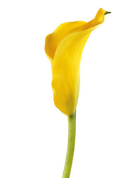 Similar image 1749294