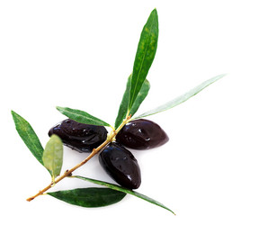 Similar image 1749296