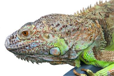 Similar image 1749300