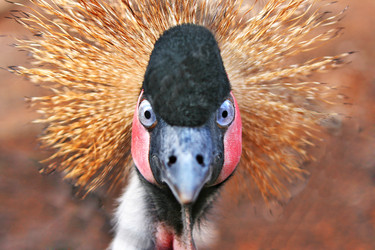 Similar image 1749305