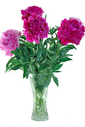 Similar image 1749306