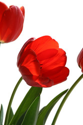 Similar image 1749307