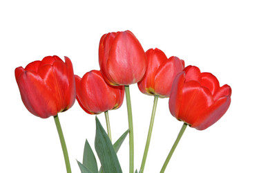 Similar image 1749308