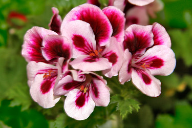 Similar image 1749310