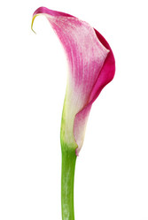 Similar image 1749316