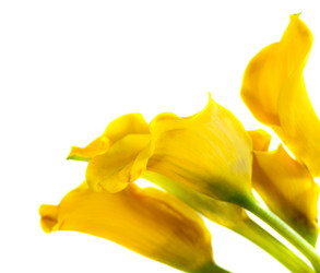 Similar image 1749321