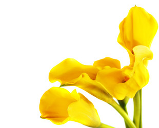 Similar image 1749323