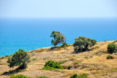 Similar image 1749328