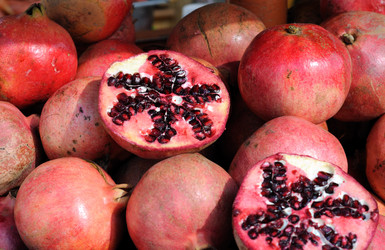 Similar image 1749440