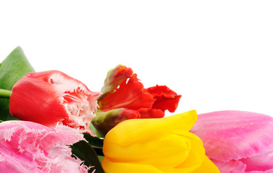 Similar image 1749517