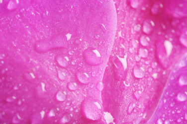 Similar image 1749518