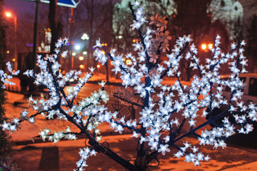 Similar image 1749633