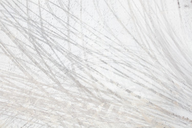 Similar image 1749647