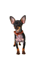 Similar image 1750348