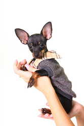 Similar image 1750454