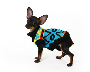 Similar image 1750464