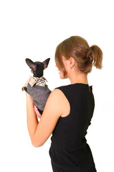 Similar image 1750466