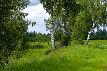 Similar image 1750467