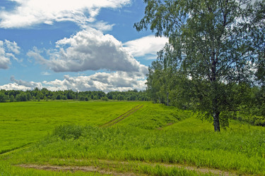 Similar image 1750475