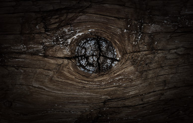 Similar image 1750534