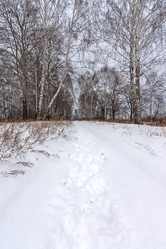 Similar image 1751054