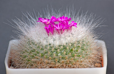 Similar image 1751055