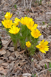 Similar image 1751060