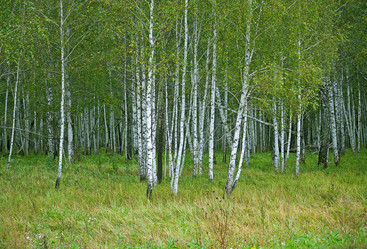 Similar image 1751063