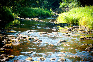 Similar image 1751275