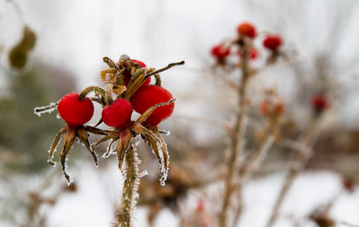 Similar image 1751290